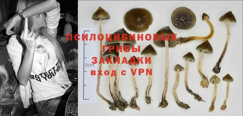 наркотики  Нефтекамск  Галлюциногенные грибы MAGIC MUSHROOMS 